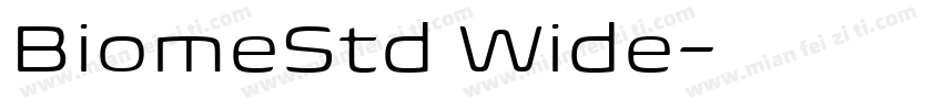 BiomeStd Wide字体转换